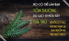 Tịnh Tâm